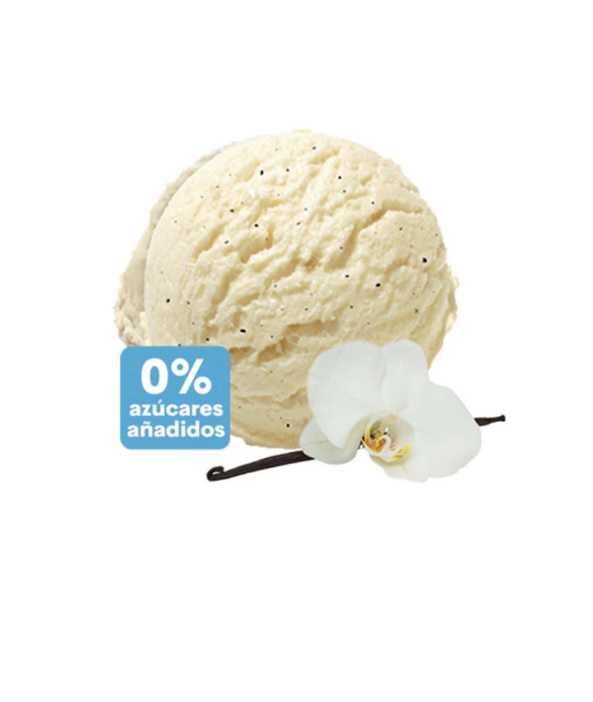 Helado vainilla SIN AZÚCAR (sabor para elegir)